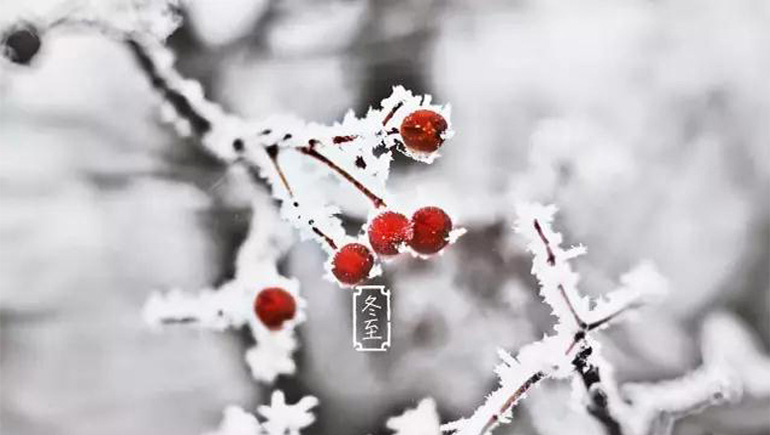 一朝冬至，日渐长，希望生。